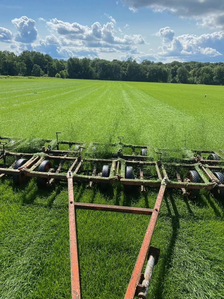 Professional garden landscaping for outdoor upgrades across Battle Creek, MI - Rooted Sod