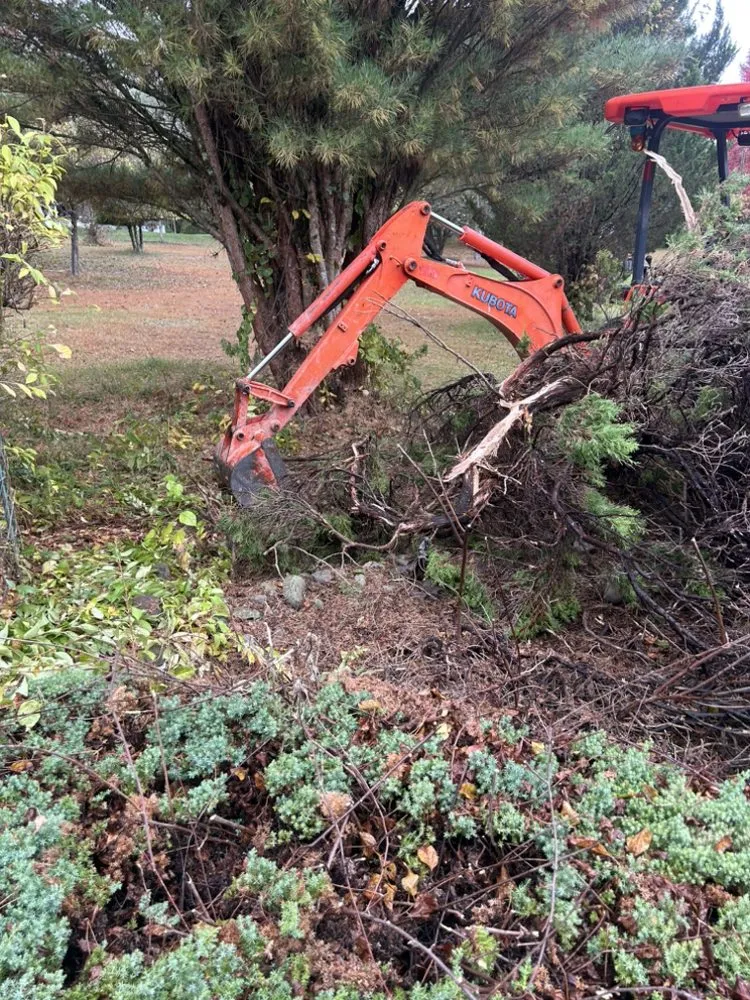 Professional residential landscaping for beautiful yards in Kunkletown, PA by Rooted Solutions