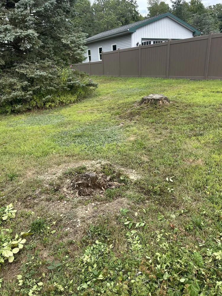 Professional lawn care service in Kunkletown, PA by Rooted Solutions
