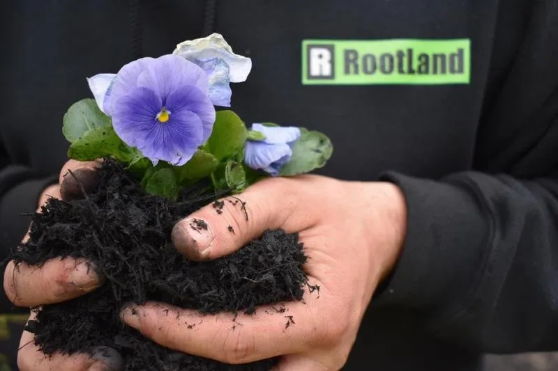 Trusted yard maintenance for year-round maintenance in West Chester, PA by RootLand