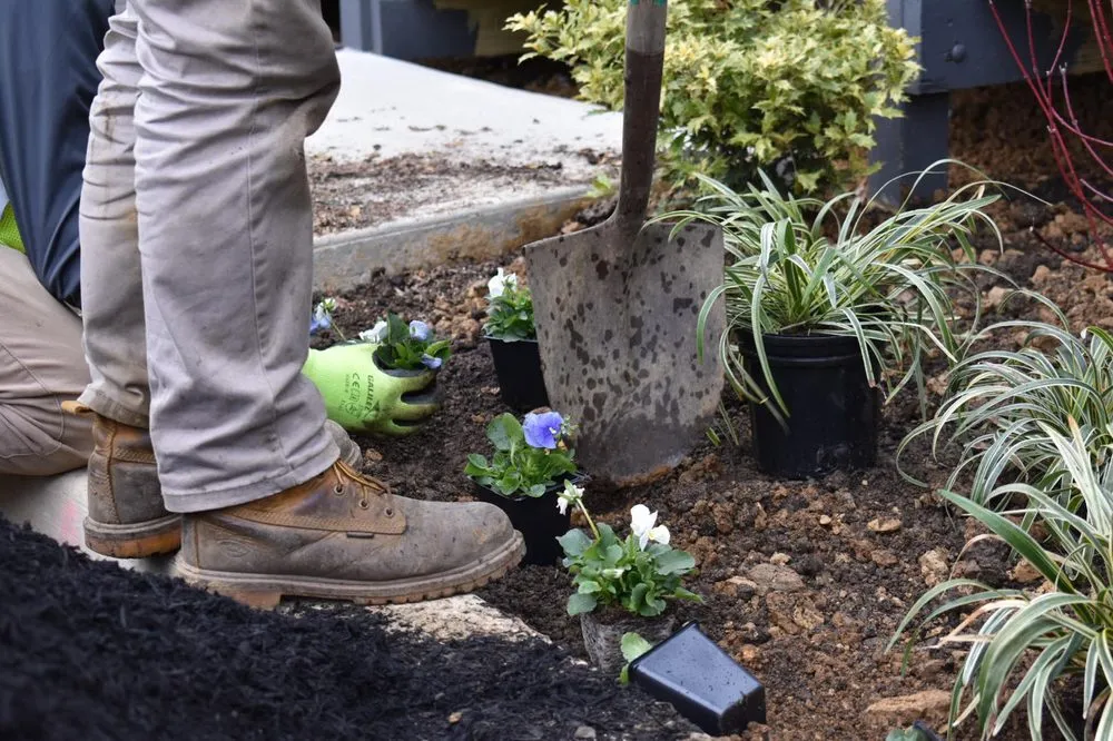 Professional yard cleanup service experts serving West Chester, PA - RootLand