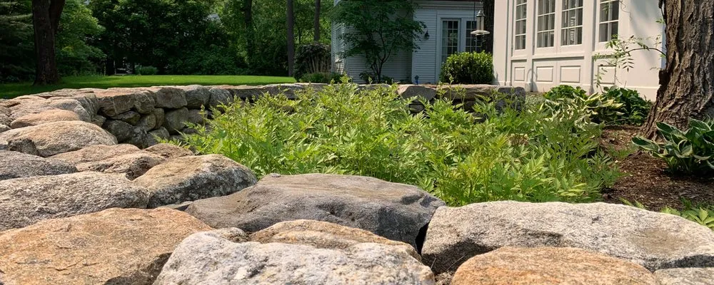 Custom residential landscaping in Concord, MA - Roots & Rocks Landscape Artisans
