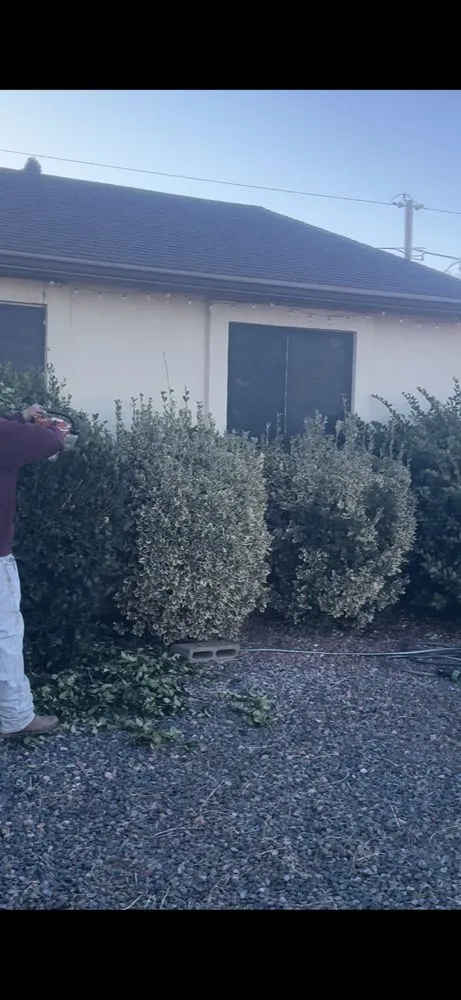 Top-rated lawn care service for beautiful yards across Prescott Valley, AZ - Roots and Rocks Landscaping