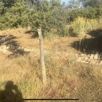 Expert garden landscaping experts serving Prescott Valley, AZ - Roots and Rocks Landscaping