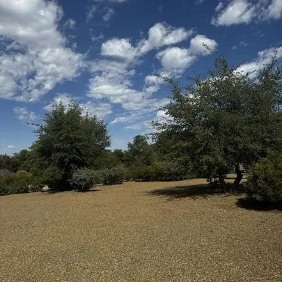 Professional garden landscaping for year-round maintenance in Prescott Valley, AZ by Roots and Rocks Landscaping