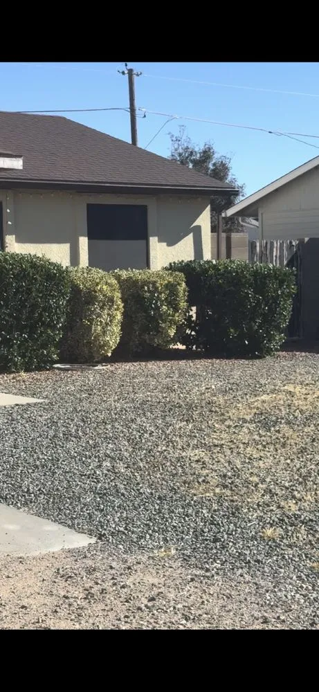 Trusted yard cleanup service in Prescott Valley, AZ by Roots and Rocks Landscaping