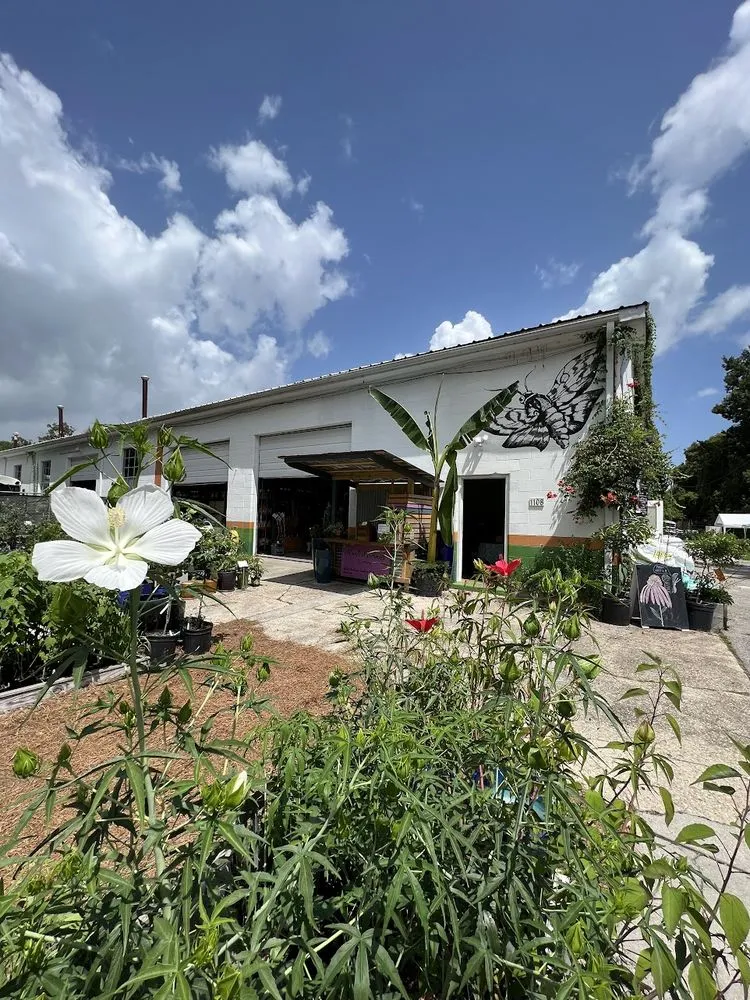 Professional landscape design in Charleston, SC - Roots and Shoots Nursery