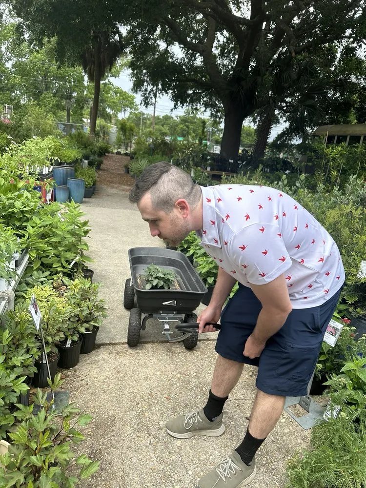 Custom landscape design experts serving Charleston, SC - Roots and Shoots Nursery