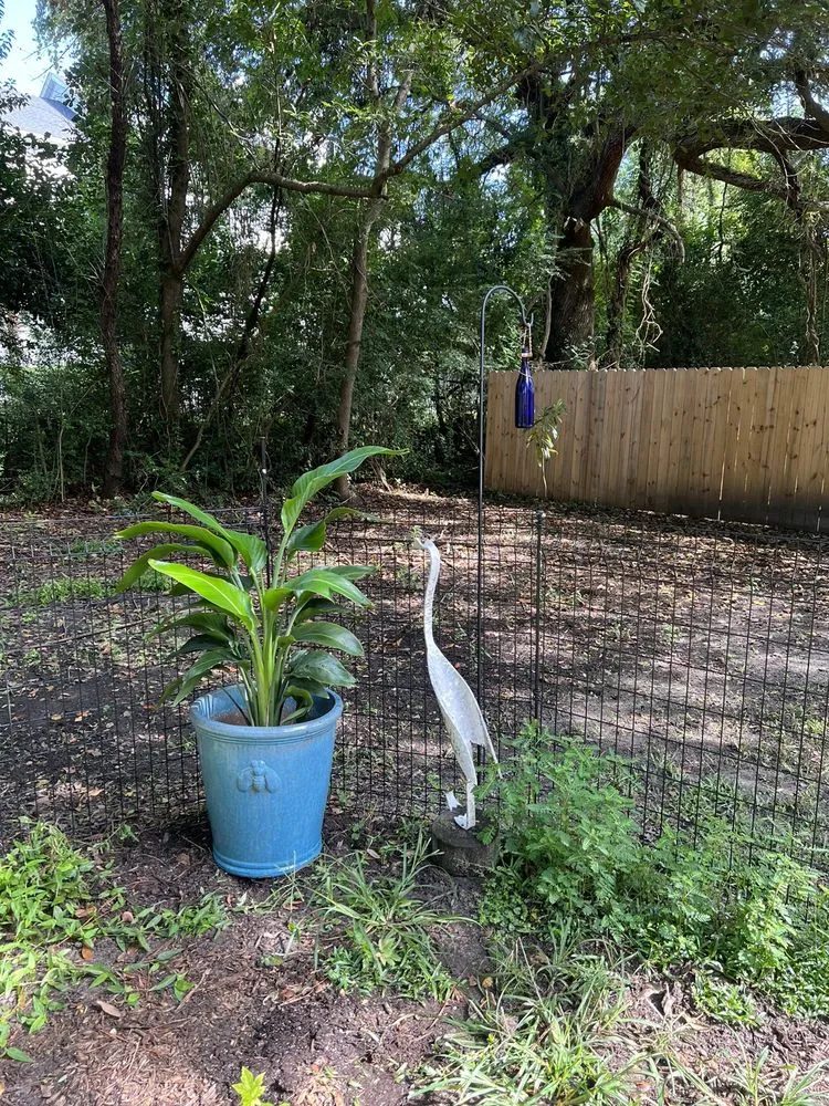 Local landscape design with custom design in Charleston, SC by Roots and Shoots Nursery