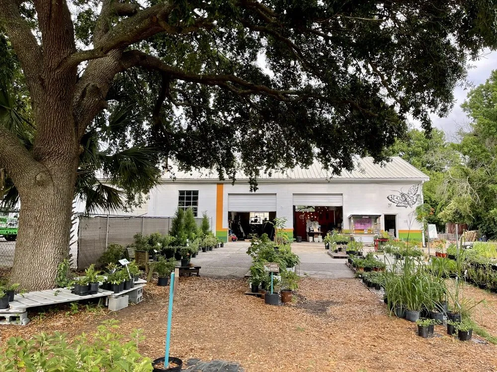 Reliable yard cleanup service in Charleston, SC - Roots and Shoots Nursery