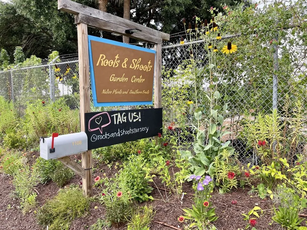 Top-rated landscaping services for outdoor upgrades in Charleston, SC by Roots and Shoots Nursery