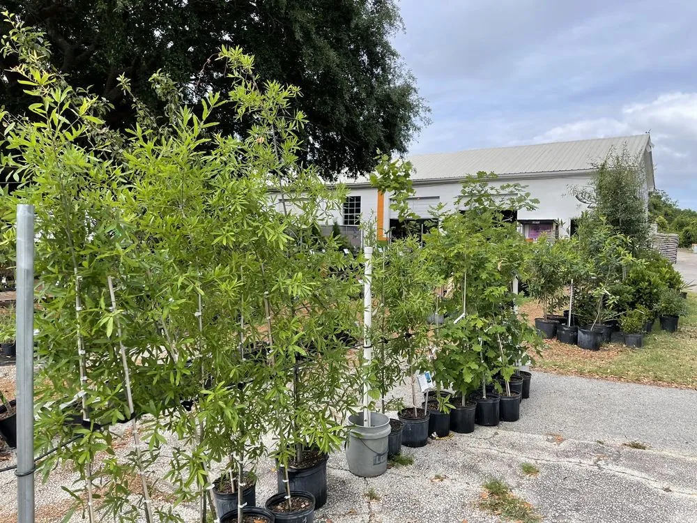 Top-rated landscape design for homes in Charleston, SC by Roots and Shoots Nursery