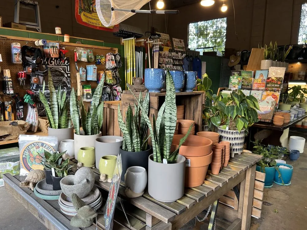 Custom garden landscaping near you across Charleston, SC - Roots and Shoots Nursery