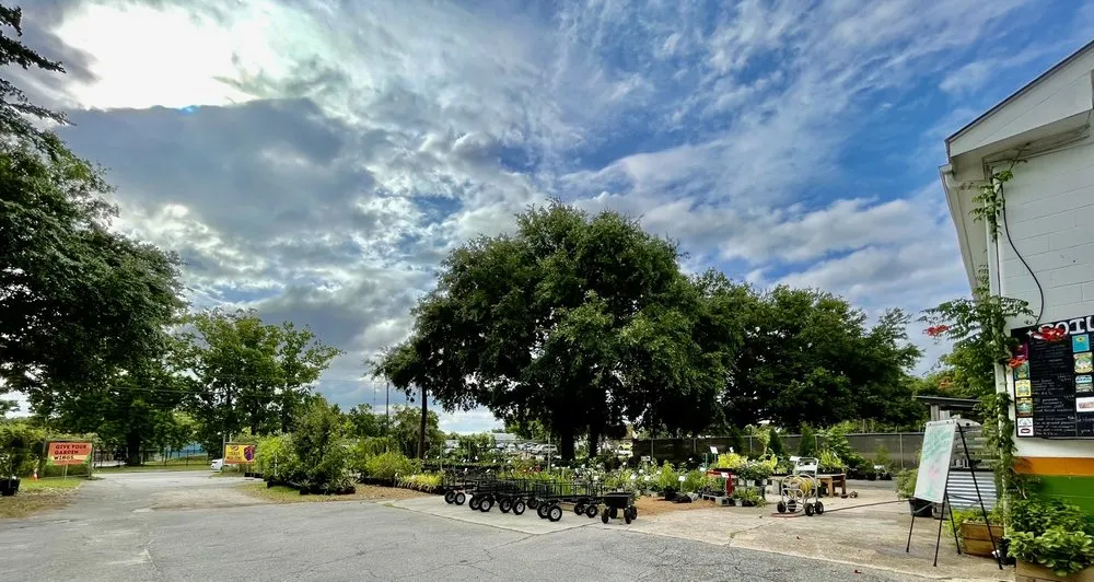 Custom landscape installation in Charleston, SC by Roots and Shoots Nursery