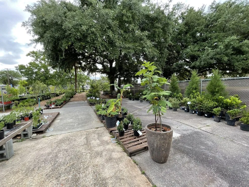 Local lawn care service experts serving Charleston, SC - Roots and Shoots Nursery