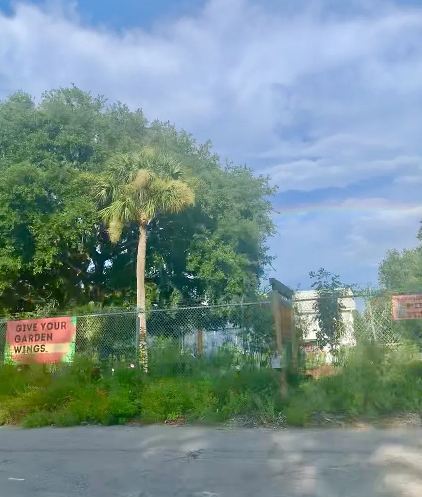 Top-rated landscape design experts serving Charleston, SC - Roots and Shoots Nursery