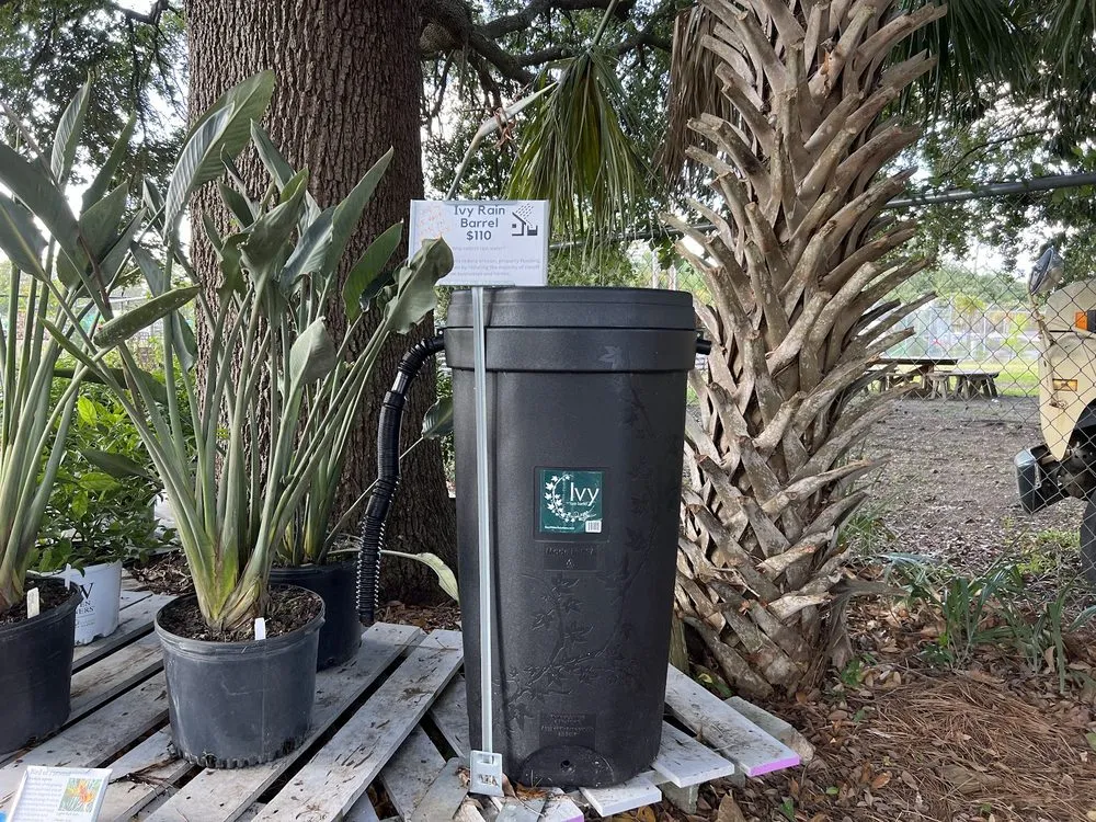 Custom outdoor landscaping for year-round maintenance across Charleston, SC - Roots and Shoots Nursery