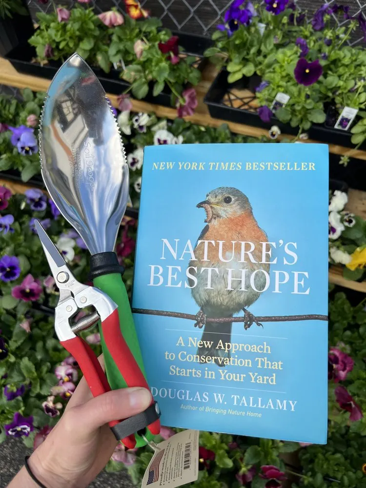 Trusted yard maintenance in Charleston, SC by Roots and Shoots Nursery