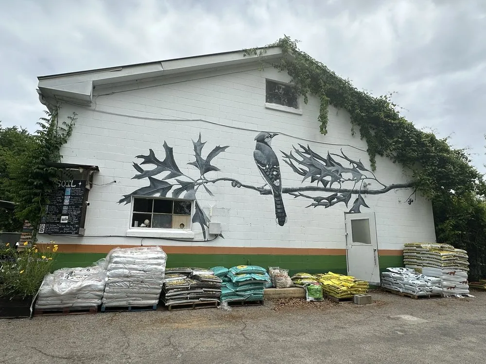 Professional landscape installation experts serving Charleston, SC - Roots and Shoots Nursery