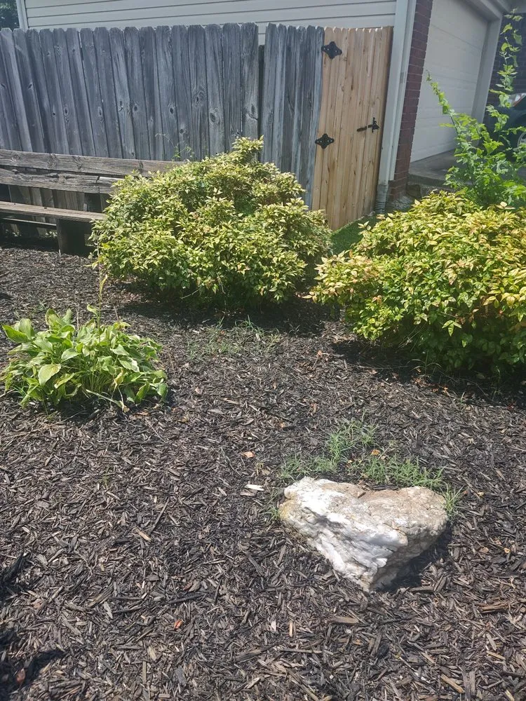 Professional yard maintenance for outdoor upgrades in Little Rock, AR by Roots Home Services