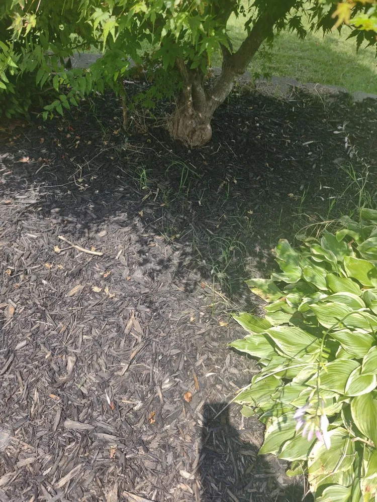 Custom lawn care service experts serving Little Rock, AR - Roots Home Services