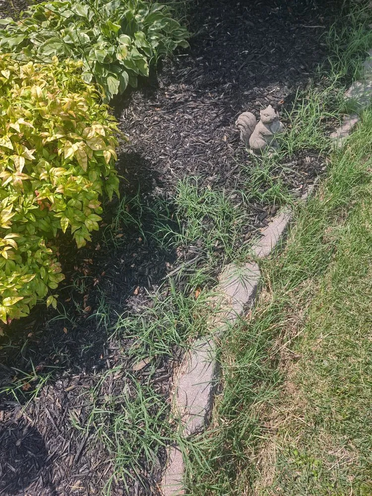 Top-rated landscape installation for residential properties in Little Rock, AR by Roots Home Services