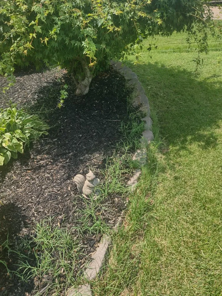 Local yard maintenance in Little Rock, AR - Roots Home Services