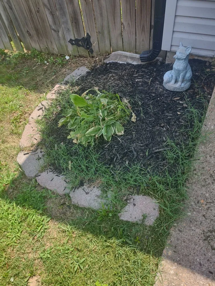 Professional garden landscaping in Little Rock, AR - Roots Home Services