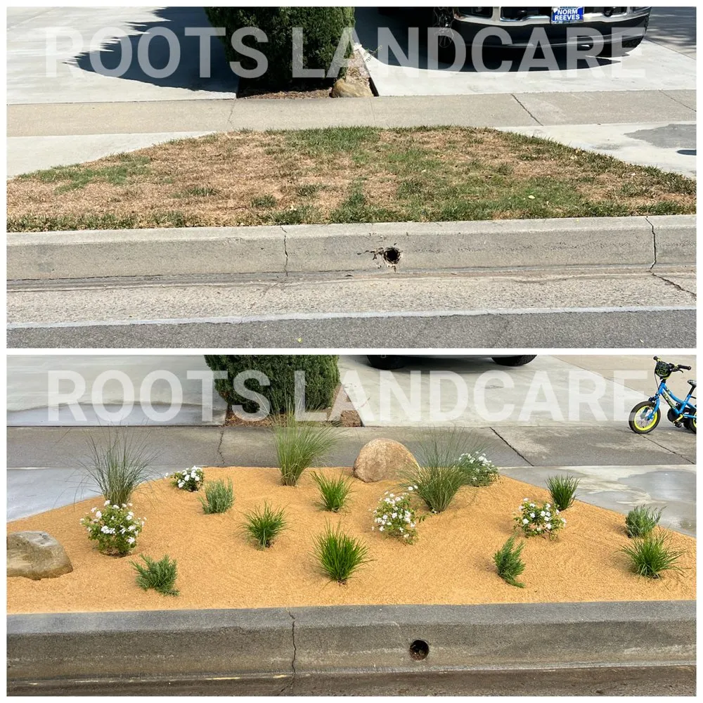 Expert landscape design for beautiful yards in Fullerton, CA by Roots Landcare