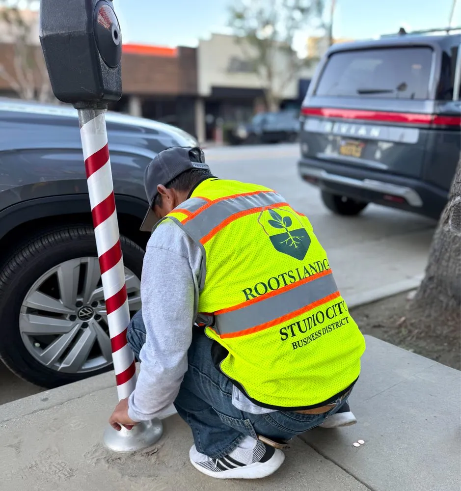 Top-rated garden landscaping experts serving Fullerton, CA - Roots Landcare