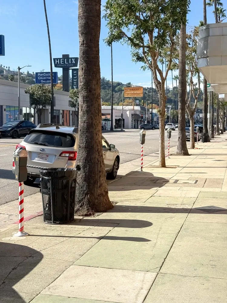 Reliable outdoor landscaping for year-round maintenance in Fullerton, CA by Roots Landcare