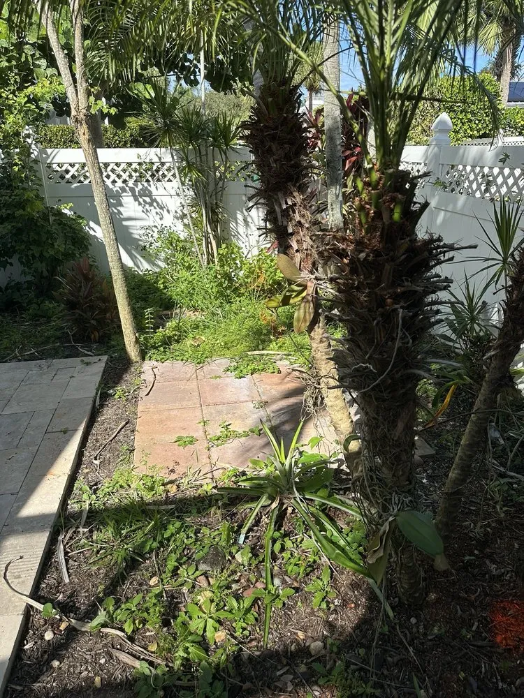 Professional yard cleanup service in Palm Beach Gardens, FL - Roots Landscape Service