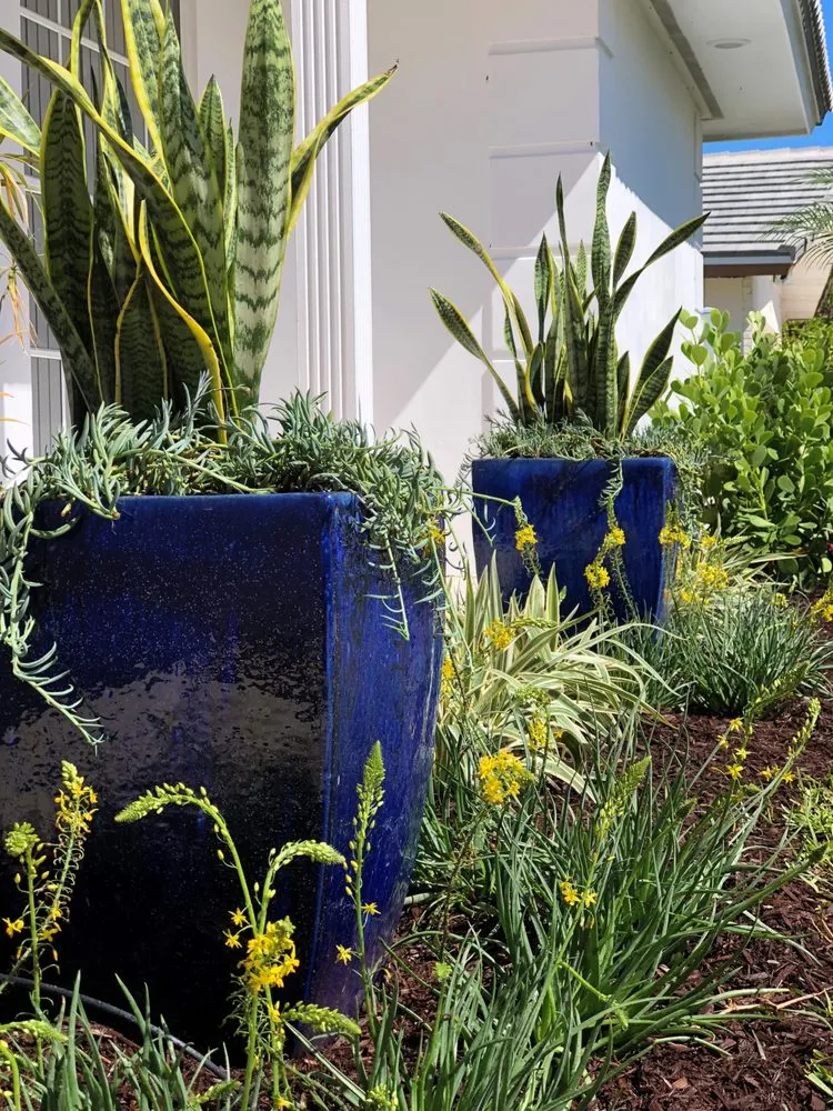 Top-rated landscape installation in Palm Beach Gardens, FL - Roots Landscape Service