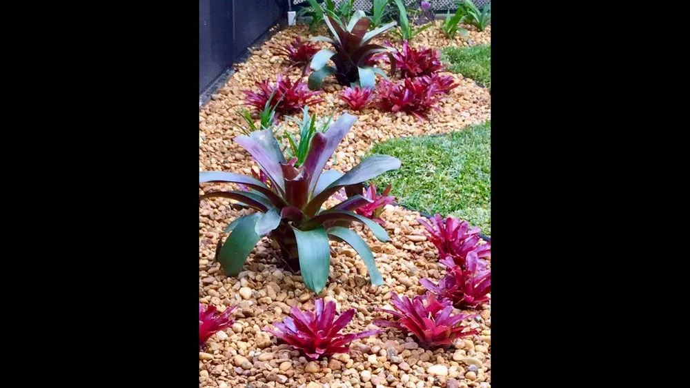 Top-rated lawn mowing service in Palm Beach Gardens, FL by Roots Landscape Service