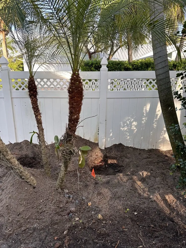 Affordable landscaping services in Palm Beach Gardens, FL by Roots Landscape Service