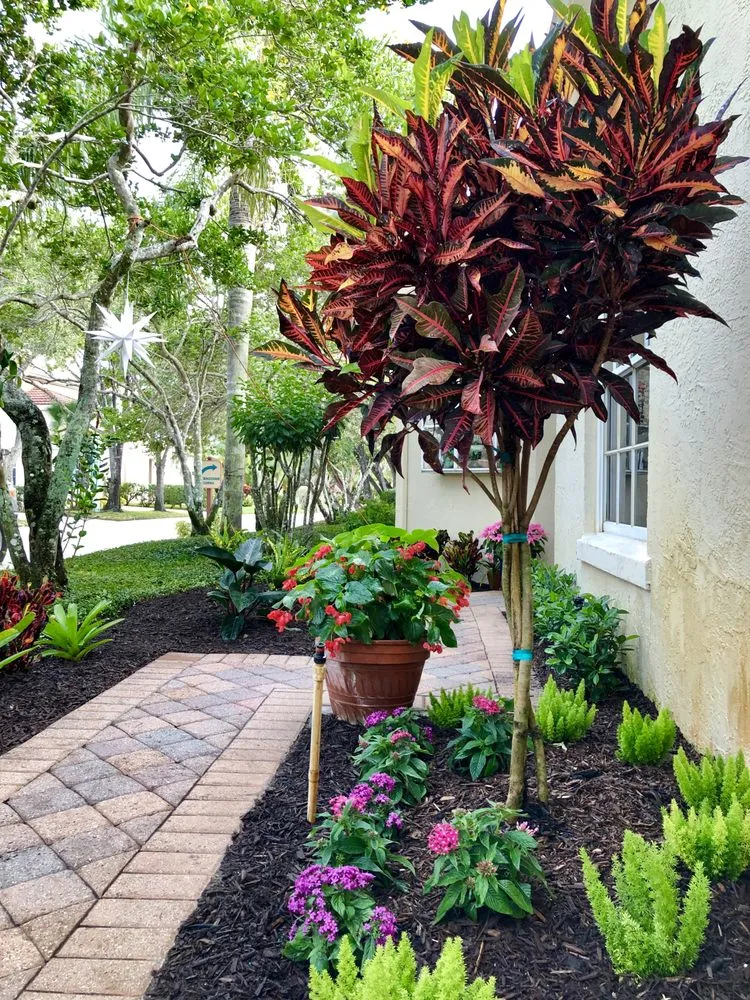 Top-rated landscape installation in Palm Beach Gardens, FL by Roots Landscape Service