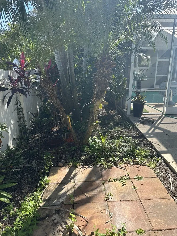 Custom lawn mowing service near you in Palm Beach Gardens, FL by Roots Landscape Service