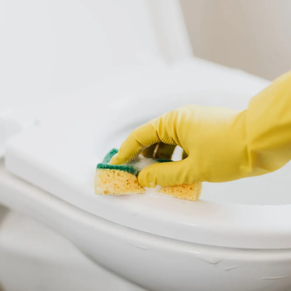 Custom lawn care service experts serving Gloucester, MA - Roots Landscaping and Cleaning Service