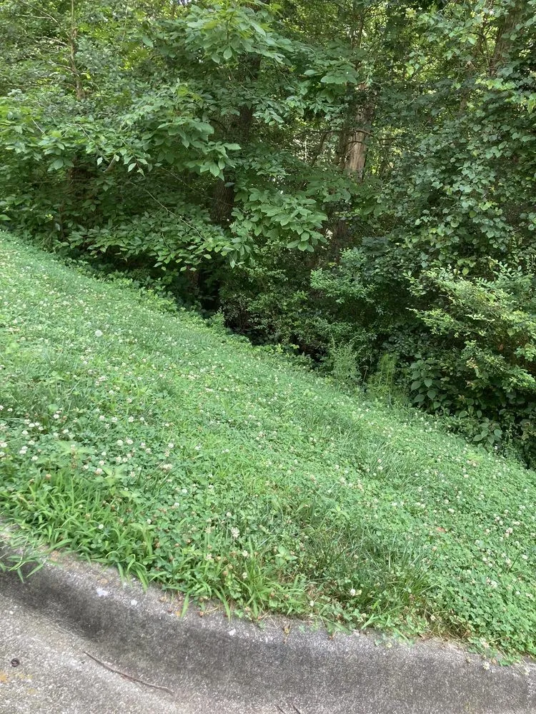 Affordable landscape design for beautiful yards across Easley, SC - Root's Landscaping