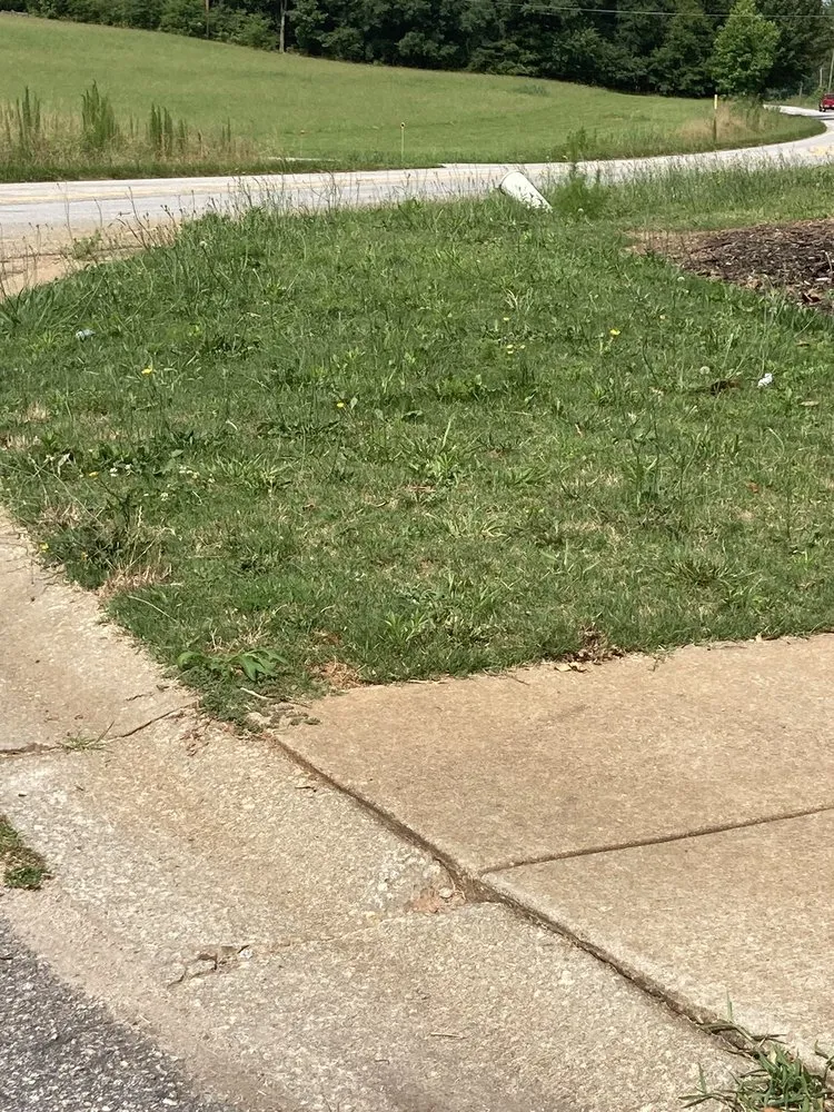 Local yard cleanup service in Easley, SC by Root's Landscaping