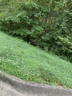 Root's Landscaping Logo