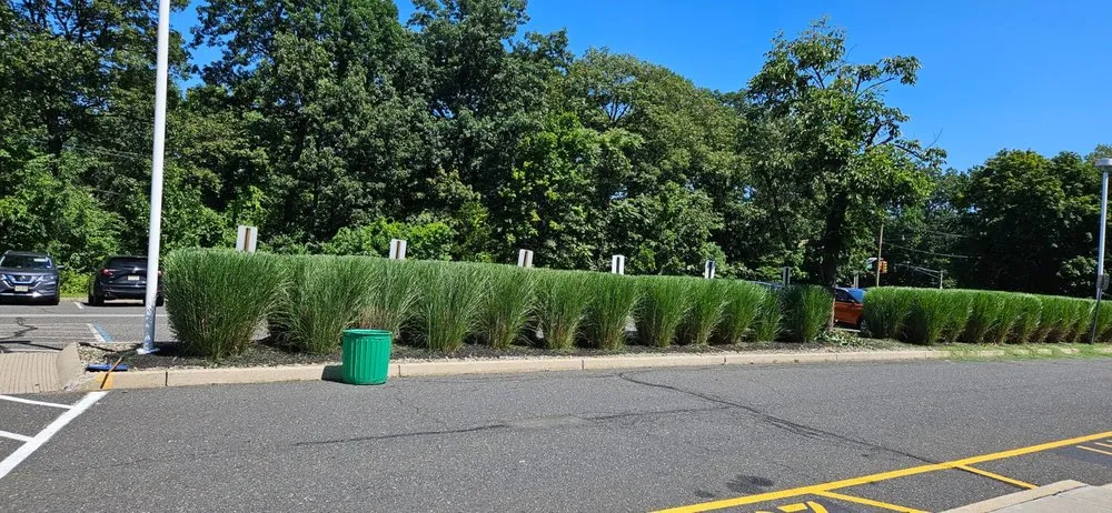 Custom yard maintenance for year-round maintenance in Hackensack, NJ by Roots Landscaping