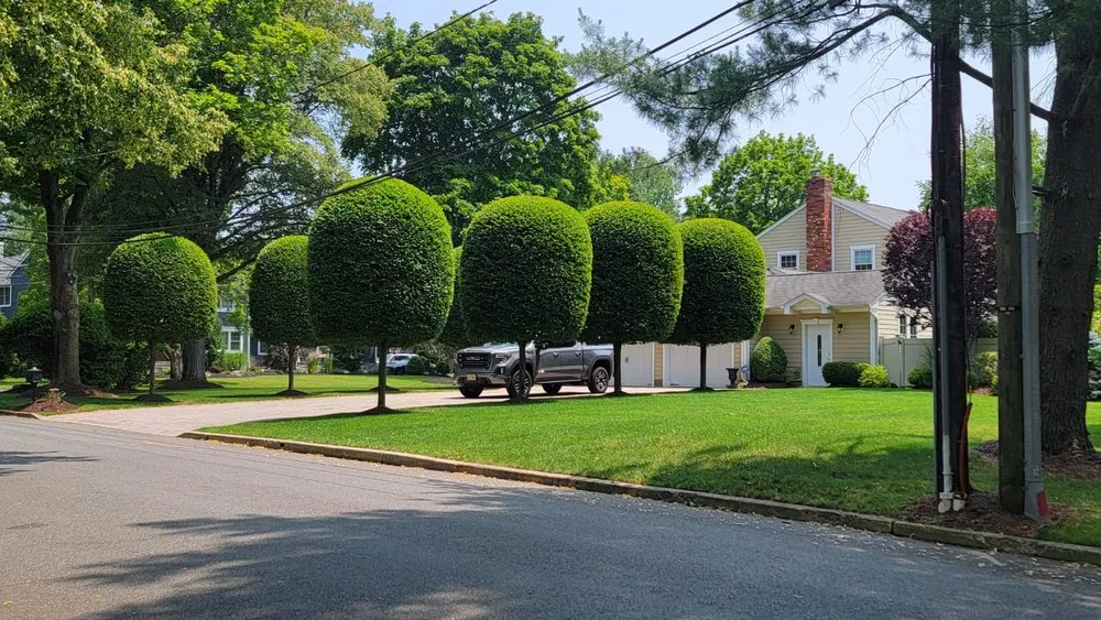 Affordable garden landscaping with custom design in Hackensack, NJ by Roots Landscaping