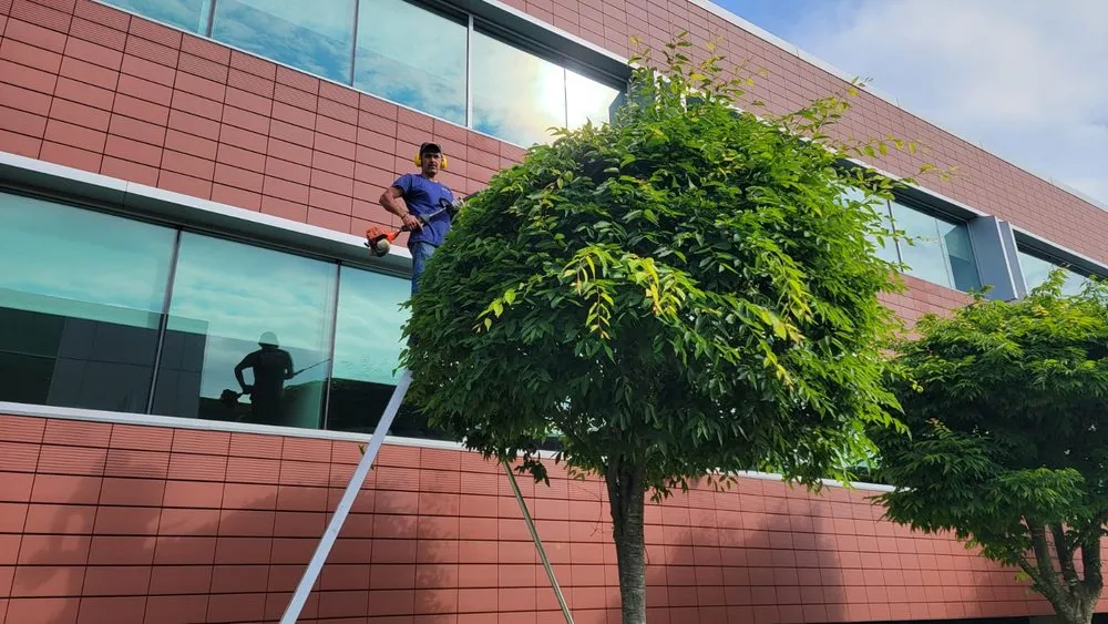 Custom yard maintenance for beautiful yards across Hackensack, NJ - Roots Landscaping