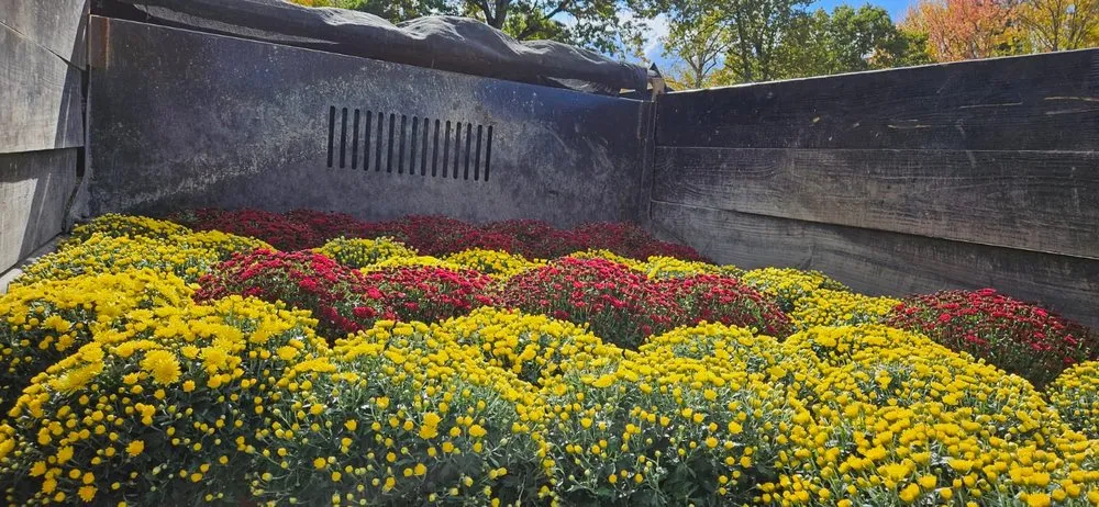 Expert lawn mowing service in Hackensack, NJ by Roots Landscaping