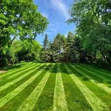 Expert lawn care service in Milford, OH by Roots Landscaping