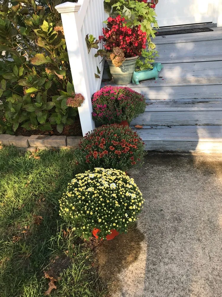 Expert yard cleanup service for residential properties across Selbyville, DE - Roots Landscaping