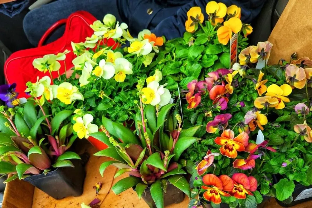 Expert yard maintenance experts serving Selbyville, DE - Roots Landscaping