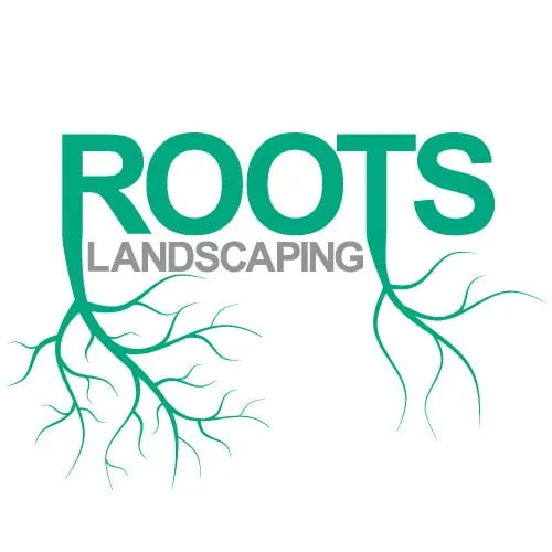 Reliable lawn mowing service with custom design across Silver Spring, MD - Roots Landscaping