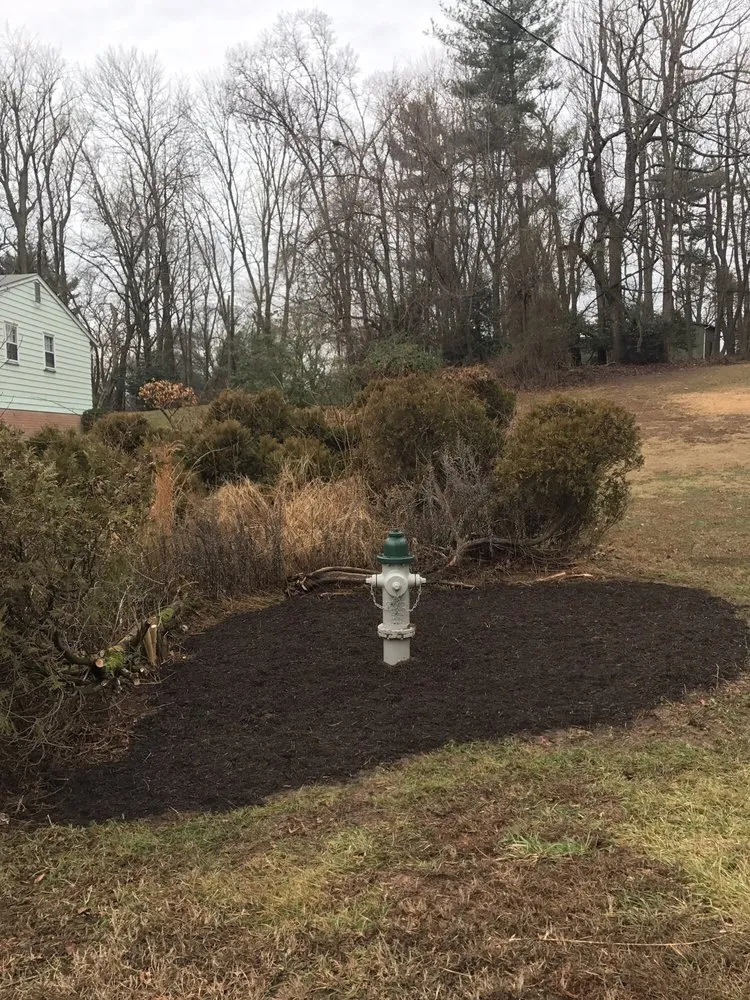 Top-rated landscape design in Silver Spring, MD by Roots Landscaping